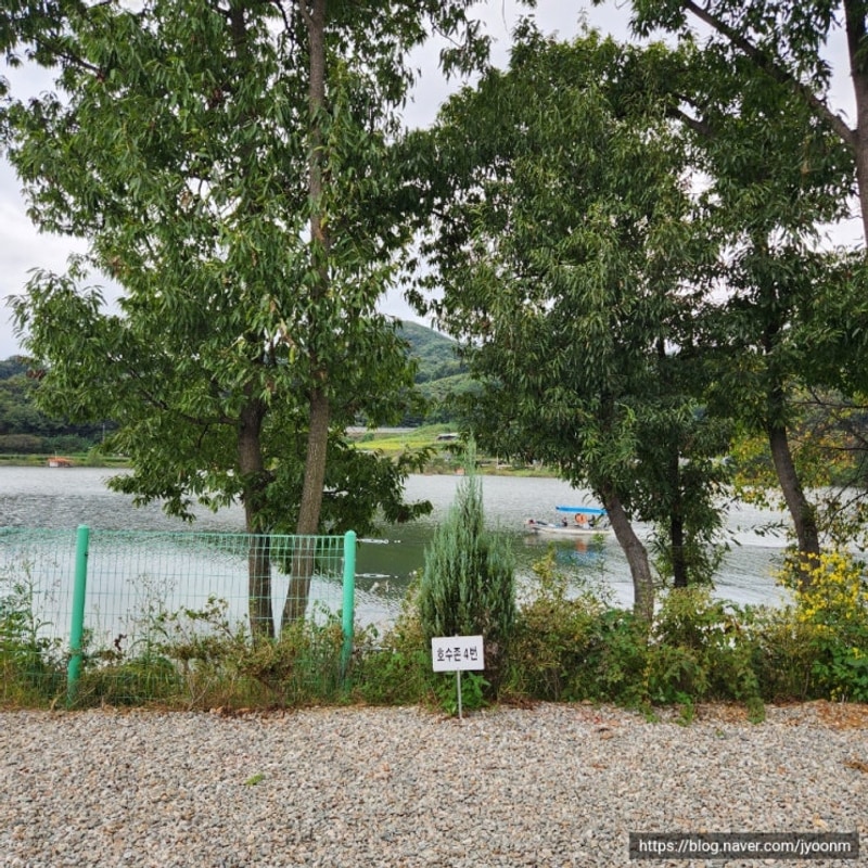 안성 레이크202캠핑장 호수존 상세 사이트뷰 사진 포함 시설...