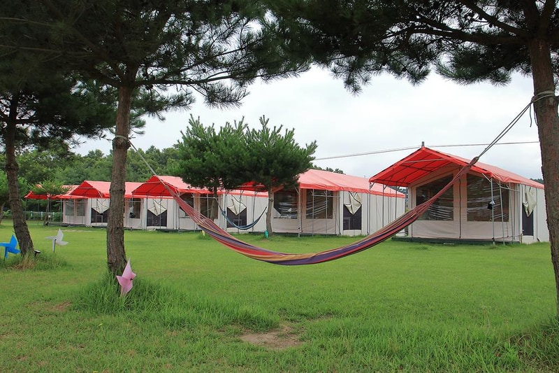 파라독스 애견펜션 / 돔글램핑&오토캠핑장 시설 사진 13