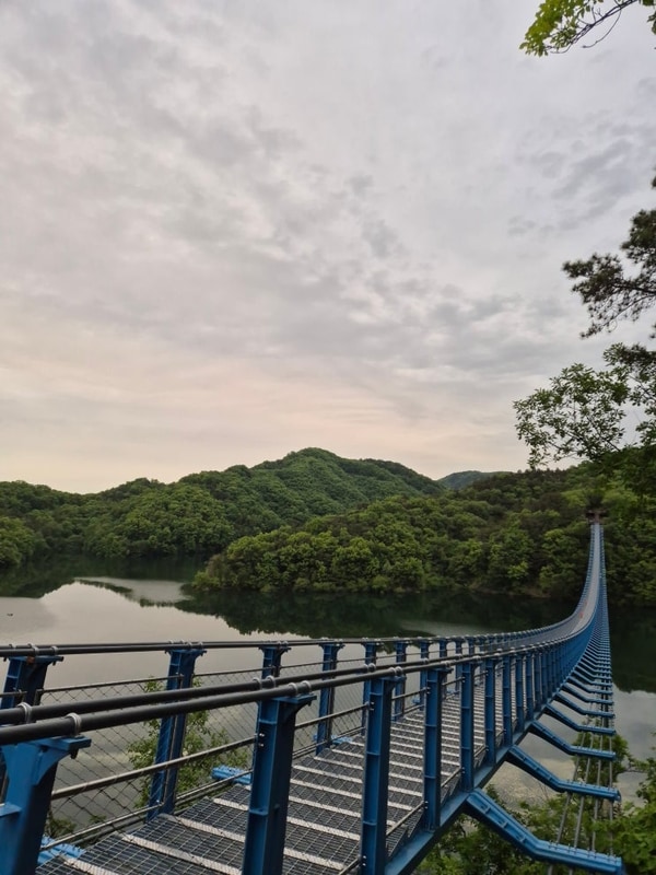 진천 농다리캠핑장[9]