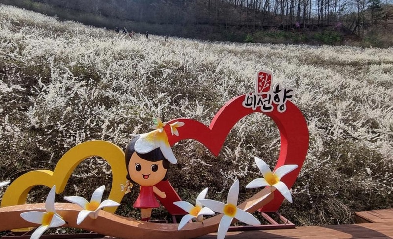 성불산자연휴양림 숲속캠핑장 시설 사진 3