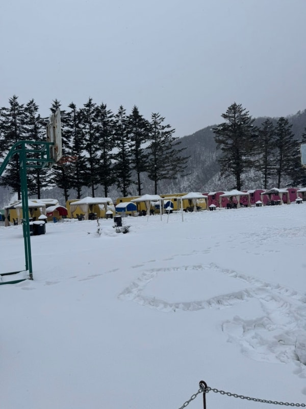 [양평] 양평 캠핑장 카라반 국내여행 - 앨리스캠핑