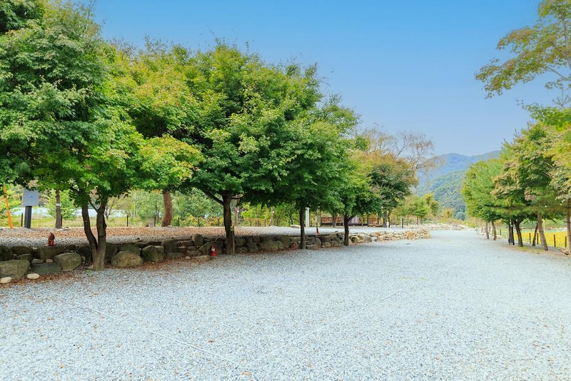 포레스트캐빈앤캠프 시설 사진 11