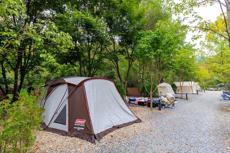 백운썬밸리캠핑장 시설 사진 11