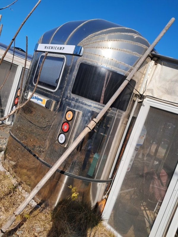 [일상]새해맞이 기념 거제 [매미캠프]으로 해돋이 캠핑(f.매미성)