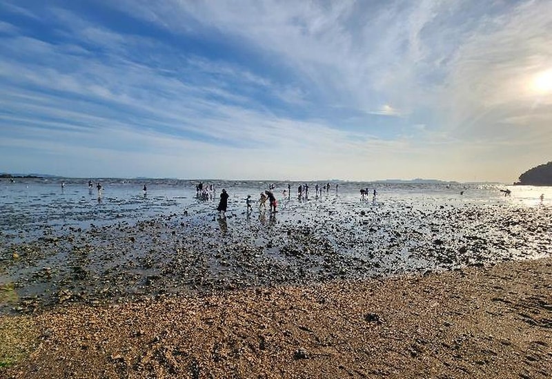 고려산 힐링캠프 시설 사진 14