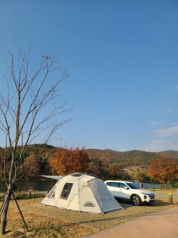 81ST 도심 속 힐링공간 북구 금호강오토캠핑장 8번 사이트