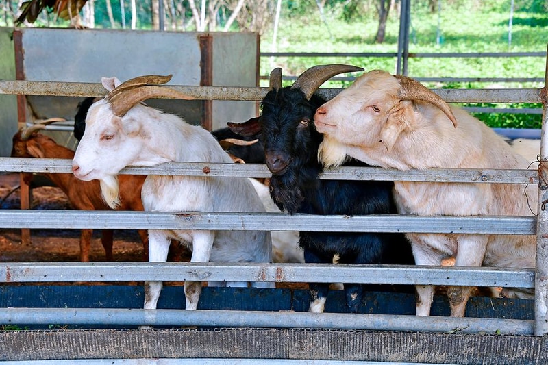 민들레동산 캠핑장 시설 사진 7