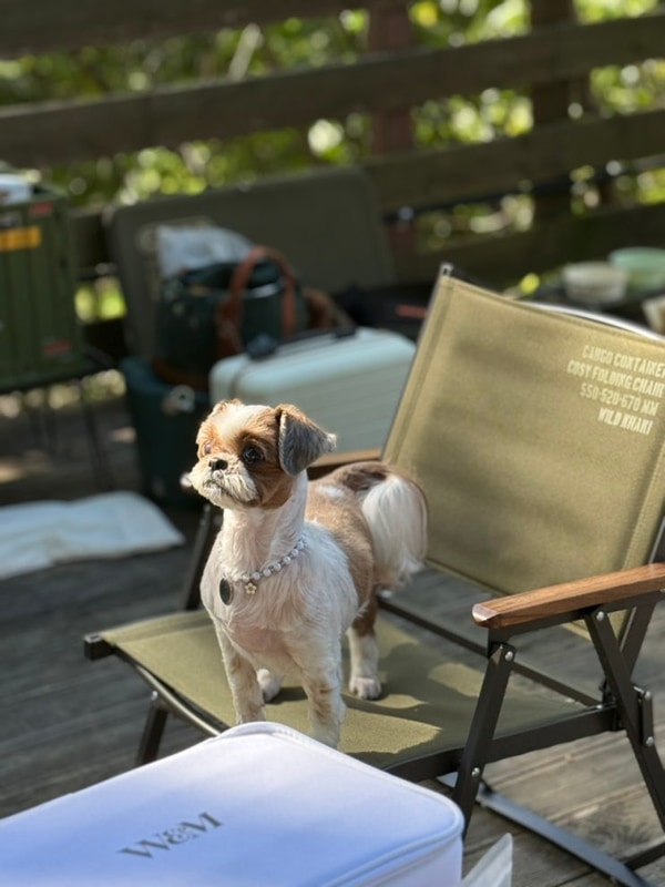 남양주 별빛캠핑장 세가족 사이트 캠핑 후기