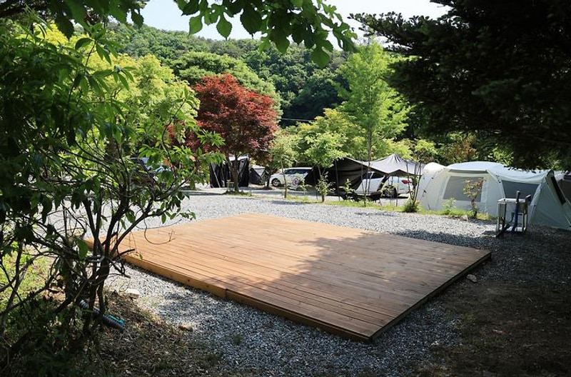 숲에서 놀자 대표 사진