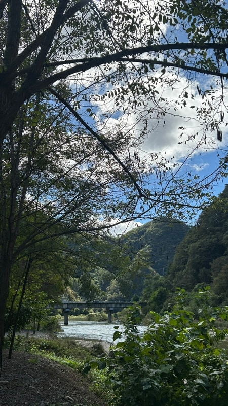 [영월 마루펜션 캠핑장] 최종_최종_찐최종_캠핑_진짜끝
