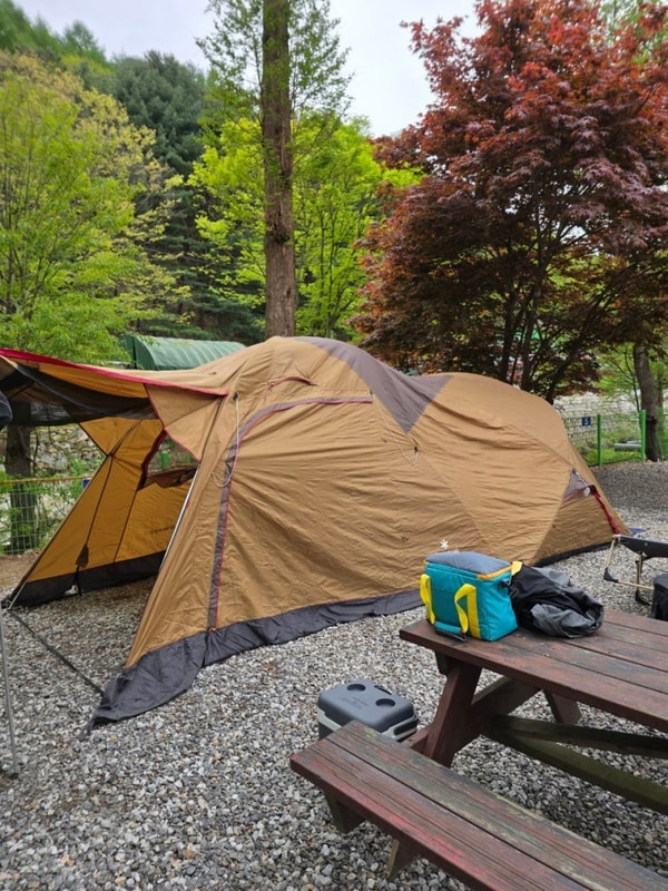 파주 비학농원캠핑장 A-4 사이트와 부대시설 정리 - 내돈내산후기