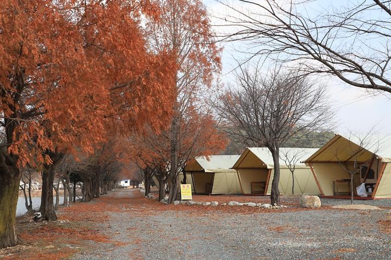 구룡레저타운야영장 대표 사진