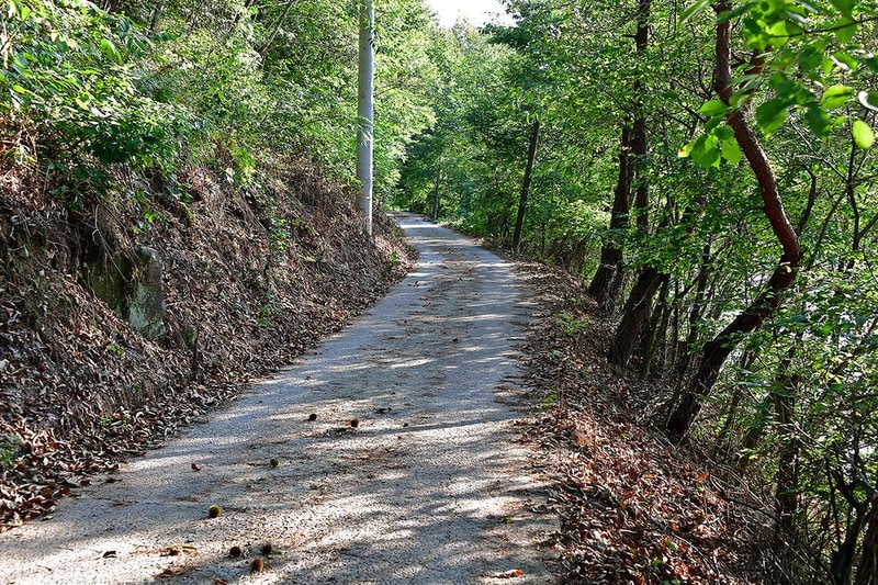자연애스토리 시설 사진 10