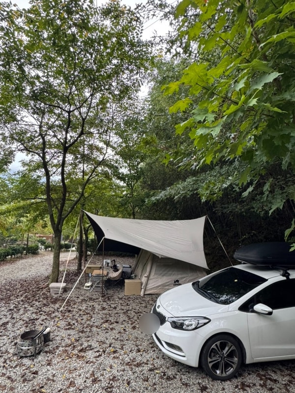 정읍 캠핑장 추천｜내장산... 수영장캠핑장 ‘자두마을캠핑장’...