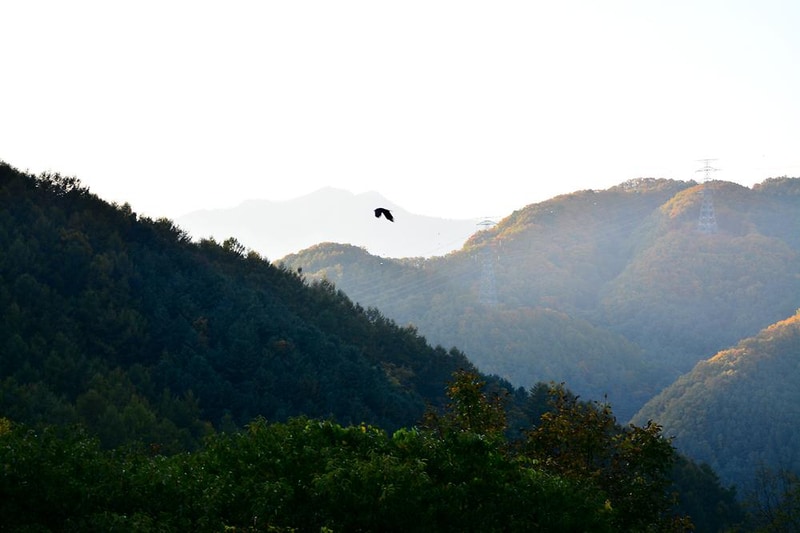 산으로간 니모 캠핑장 시설 사진 19