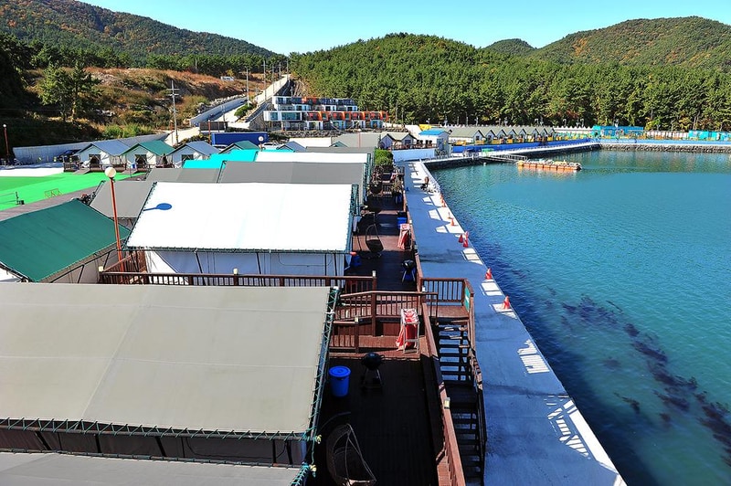 블루웨일 시설 사진 14