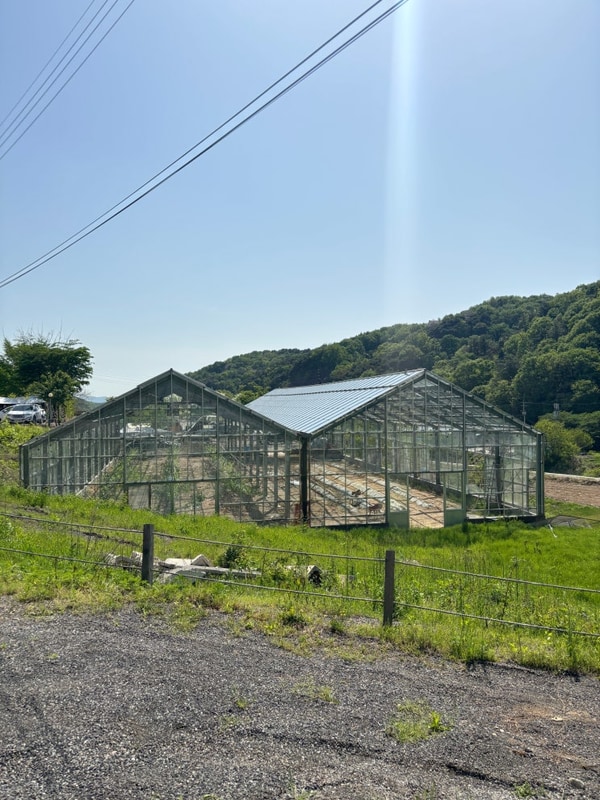 경북 고령 대가야 캠프타운 아이와 함께 캠핑 c 사이트