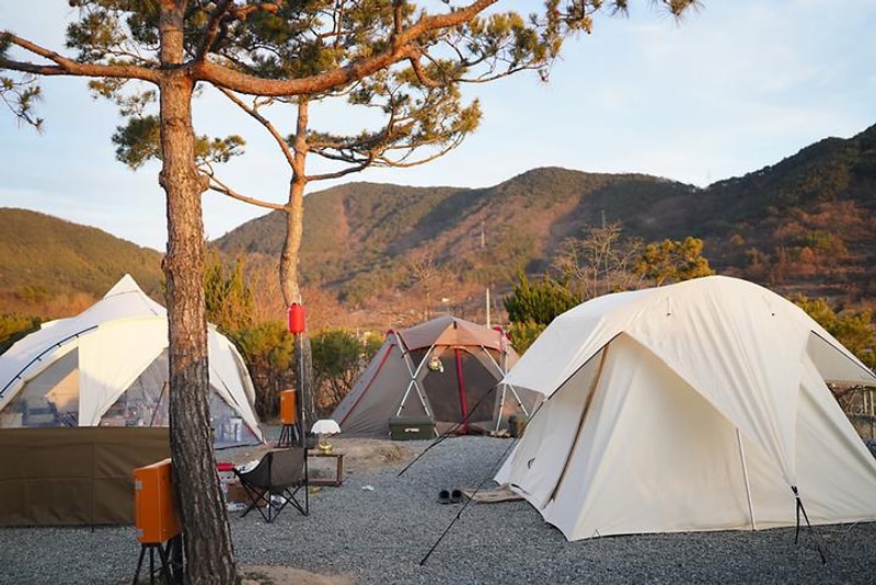 FLOW 11 야영장 대표 사진