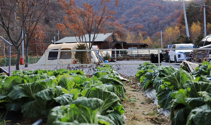 화기애애 단풍 캠핑장 시설 사진 7