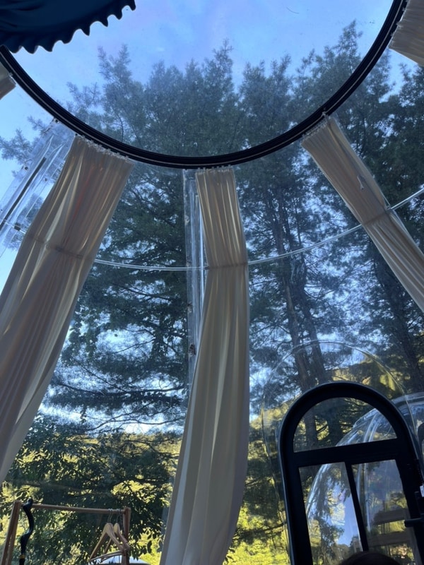 [강원도] 평창_뇌운계곡글램핑