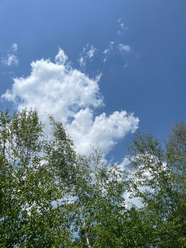 캠핑 오랜만! 양평 다목적캠핑장, 세가족 캠핑하기 좋은곳