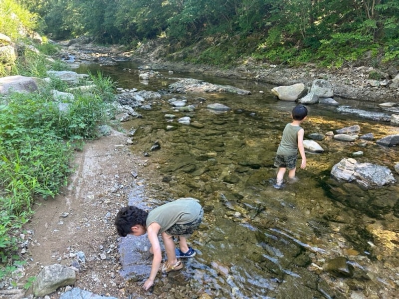 [경북 문경] 리우 캠핑장 E1 사이트