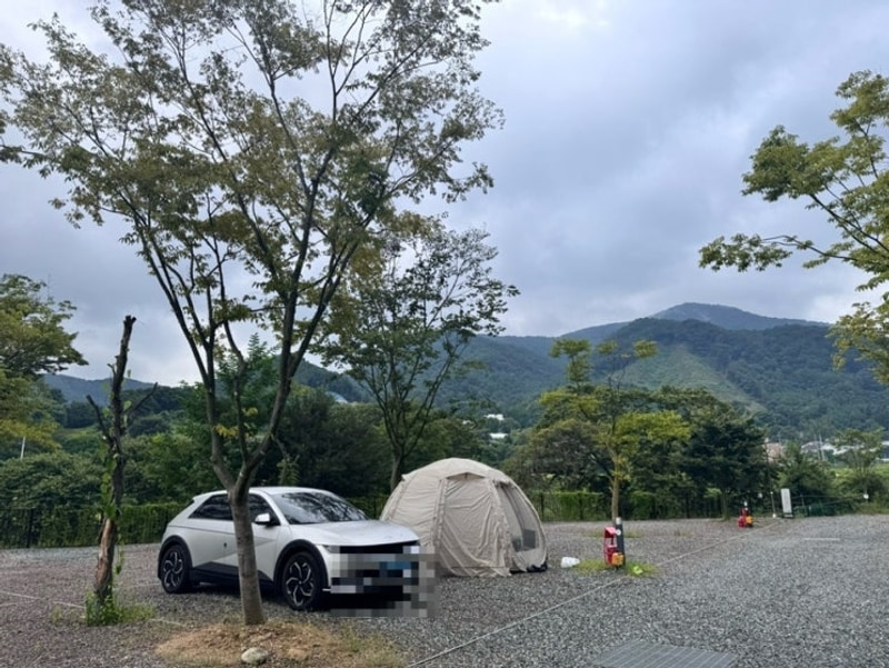 양평 힐링계곡 오토캠핑장 (반려견 동반 캠핑장)
