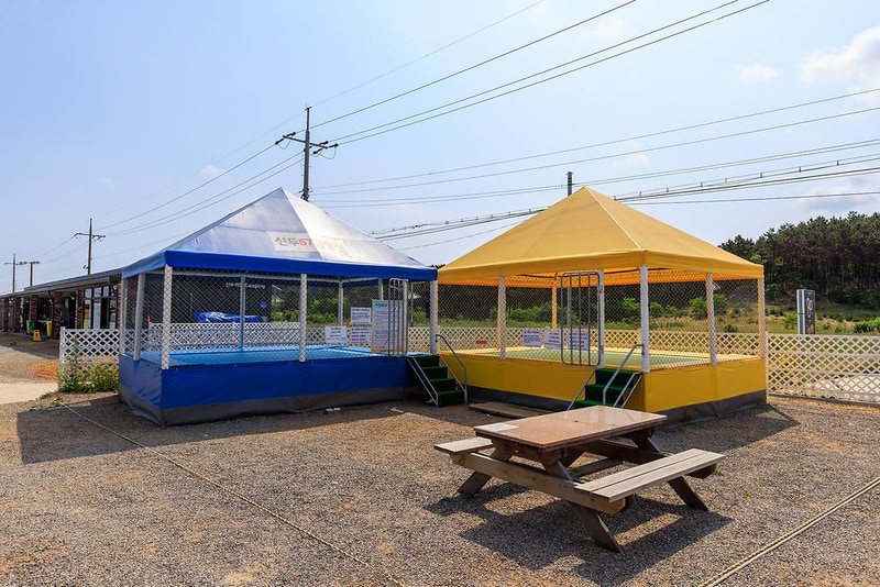 신두57캠핑장 시설 사진 36