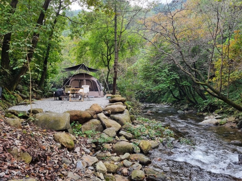 충북 제천 최고의 계곡뷰 캠핑장...(덕동리 301 캠핑장 명당...