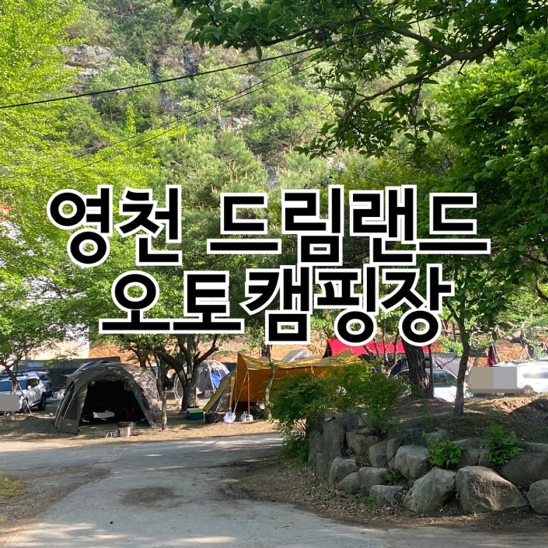 영천 드림랜드 오토캠핑장 경주 근교 캠핑장