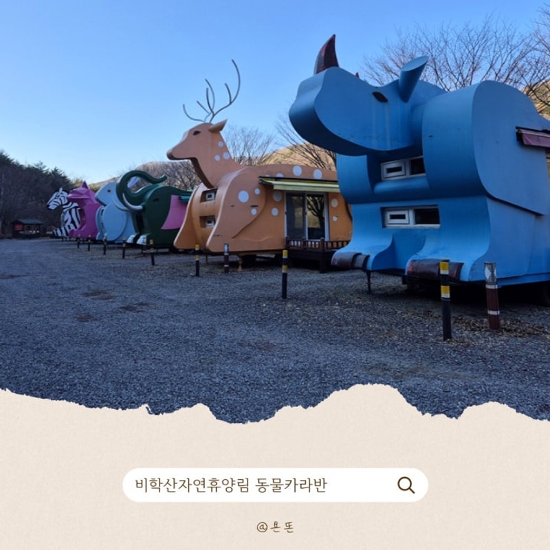 포항여행 '비학산자연휴양림 동물 카라반' 숙박 후기