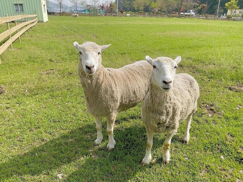 jj오토캠핑장 시설 사진 7