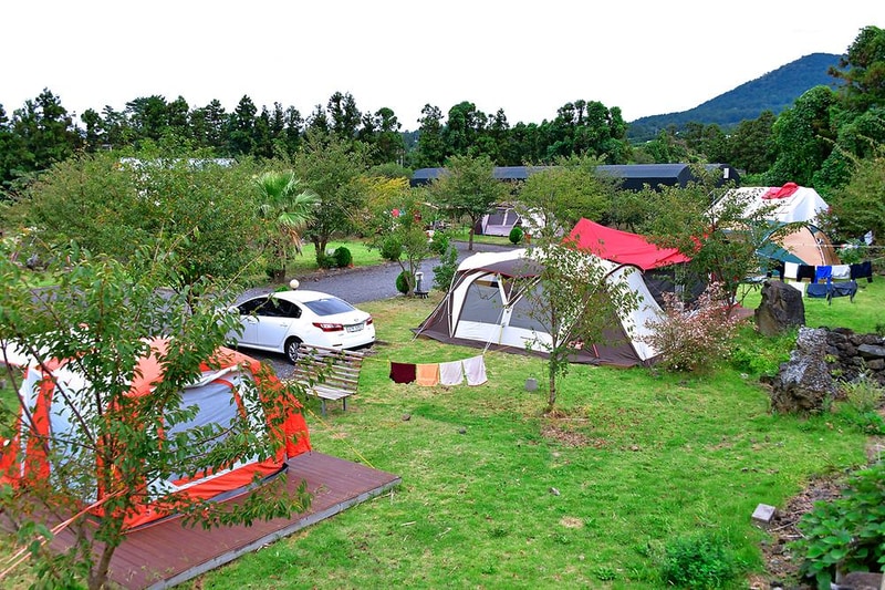 제주벨리타캠핑장 시설 사진 8