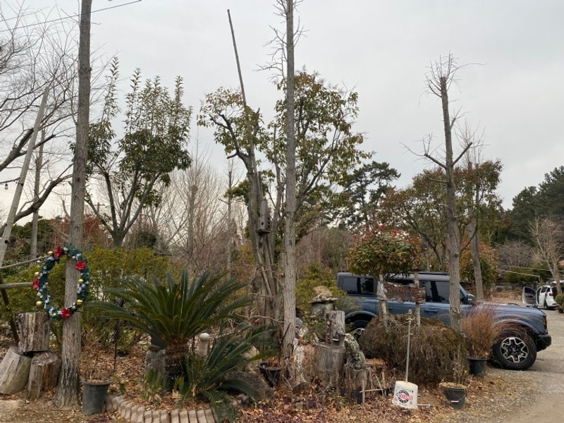 우리가족 일곱번째 캠핑, 남해 버드하우스 캠핑장 늦은 후기...