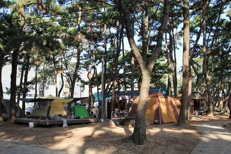 대천해수욕장 야영장 시설 사진 12