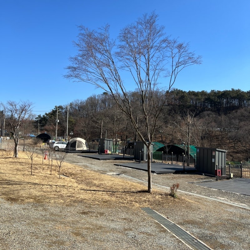 시흥 여우하우 야영장┃경기도 서울근교 애견동반 데크...