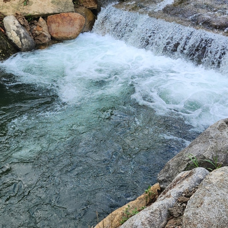 [250803]담양 계곡캠핑장  삼인산밸리캠핑장후기