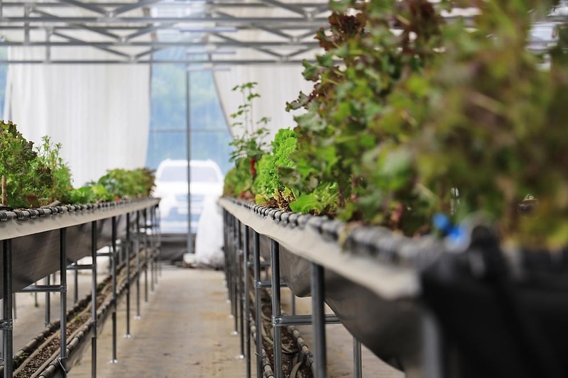 봉스글램핑 시설 사진 15