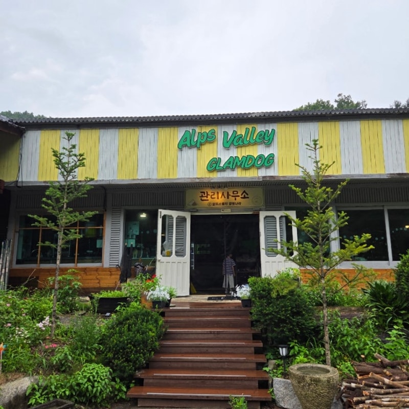 계곡 캠핑장 강원 홍천 알프스 밸리 캠핑 나라 글램독 자세한...