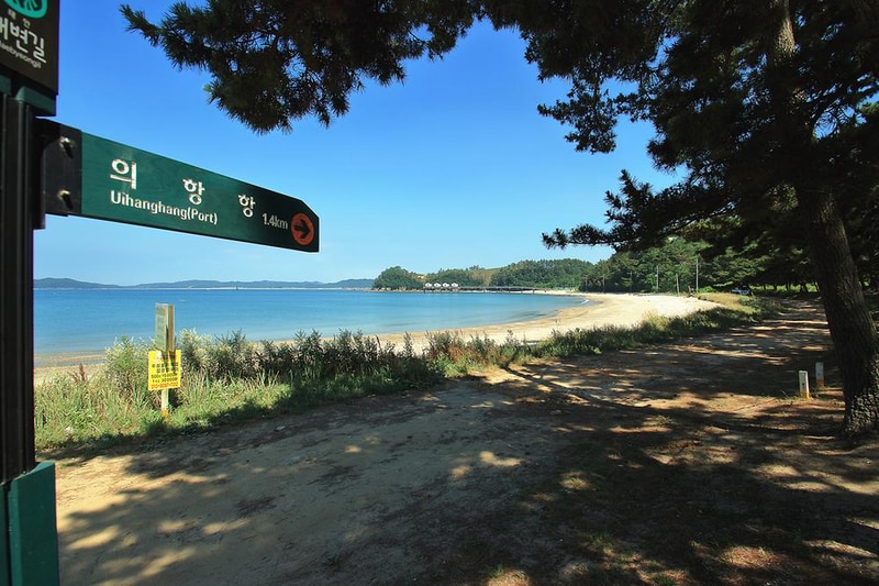 이태백 야영장 시설 사진 3