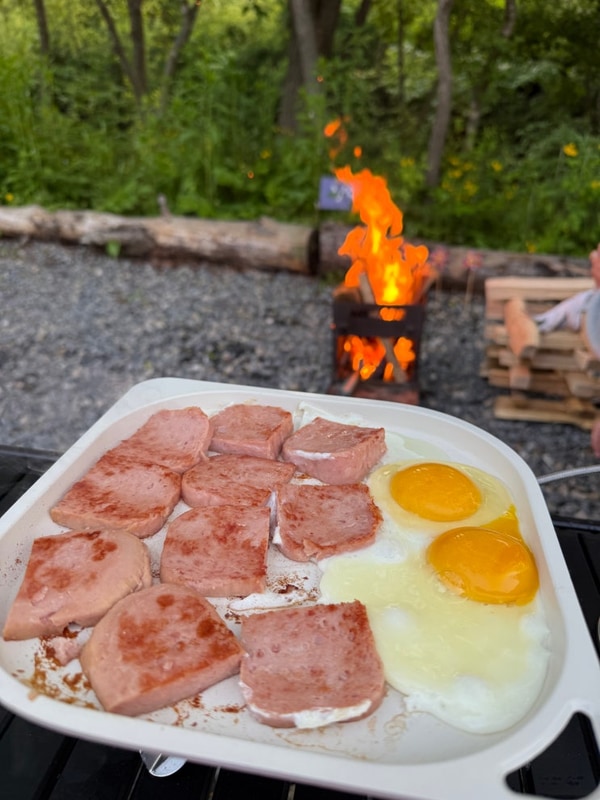 [캠핑 - 월현포레스트] 캠핑 / 횡성 깔끔한 신생 캠핑장 / 명당...