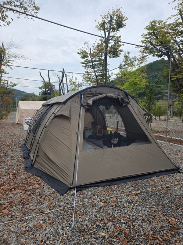 (캠핑후기)청주 옥화포시즌 캠핑장, 옥화A-2사이트, 애견동반...