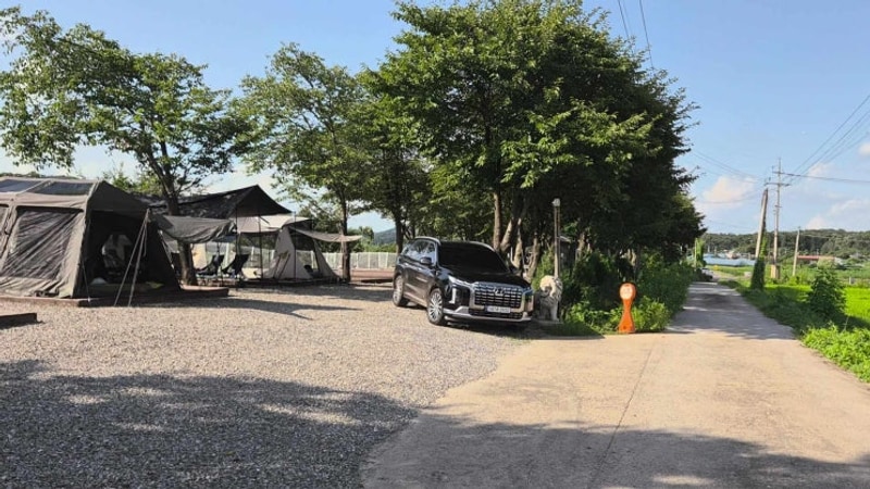 [파주 캠핑] 강나루 야영장(애견 동반)