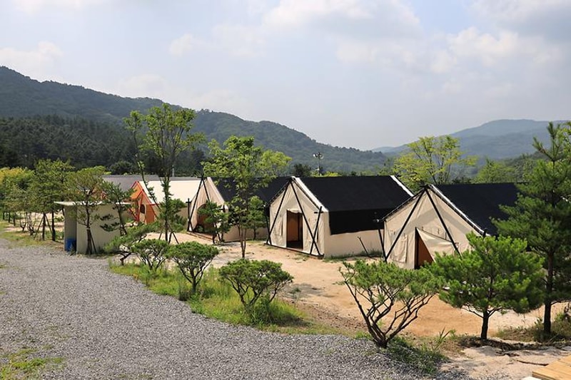 연지곤지팜캠핑장 대표 사진