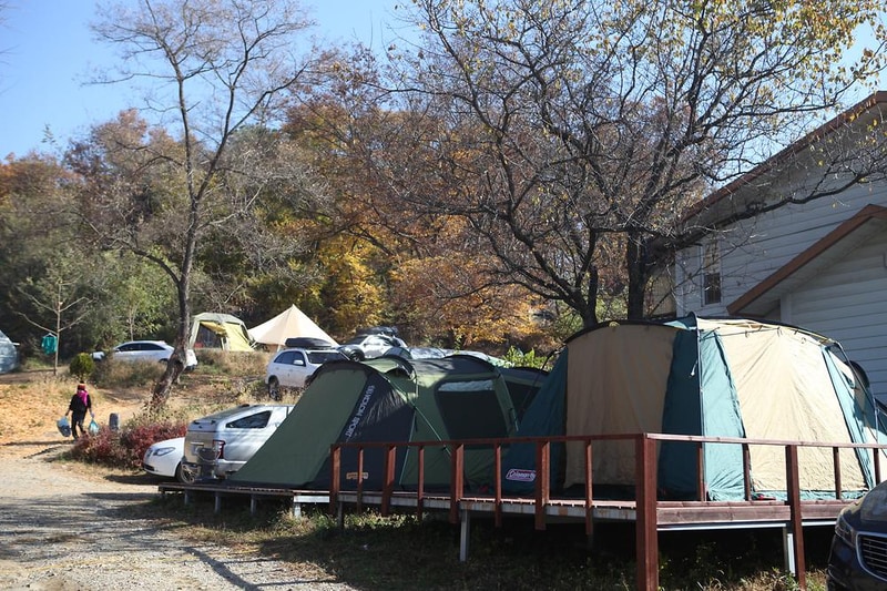 느티나무그늘아래 캠핑장 시설 사진 5
