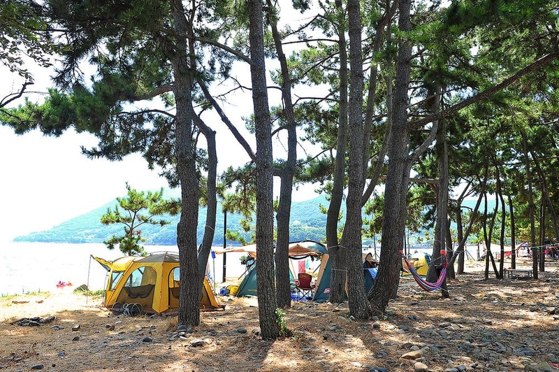 두곡해수욕장야영장 시설 사진 5