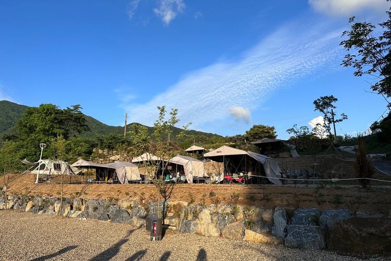 캠핑에 바나나 시설 사진 13