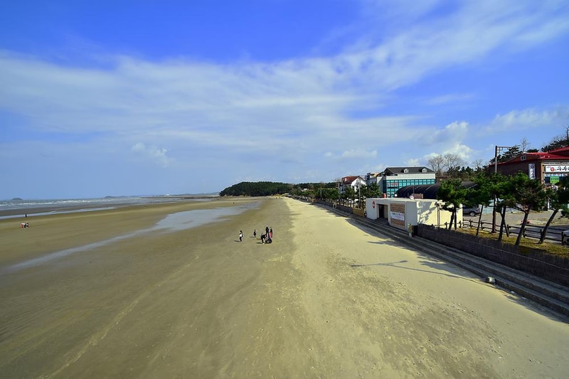 춘장대 중앙솔밭캠핑 시설 사진 7