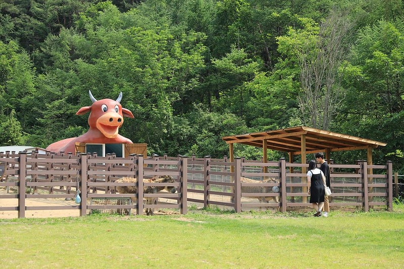 펫힐링 달빛동물원 캠핑장 시설 사진 6