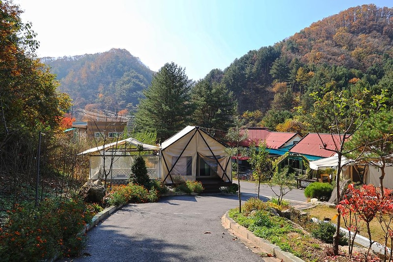 테라스527 캠핑장 시설 사진 1